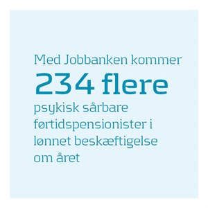 Opslag Resultater Beskaeftigelse