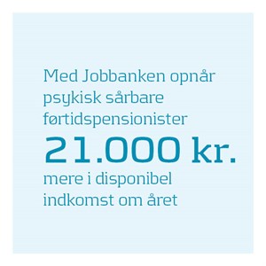 Opslag Resultater Indkomst