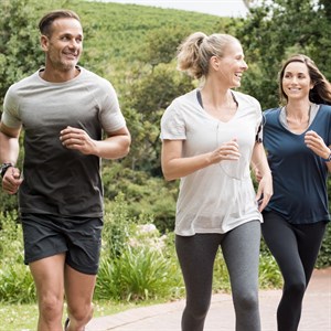 Loeb Shutterstock 613868252 Web